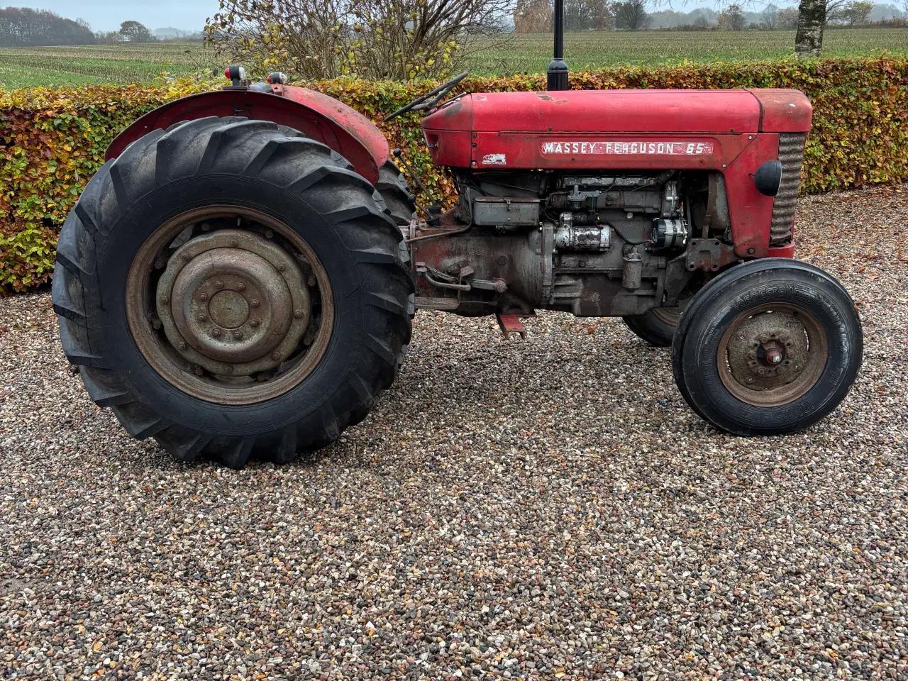 Billede 3 - Massey Ferguson 65 mrk 2