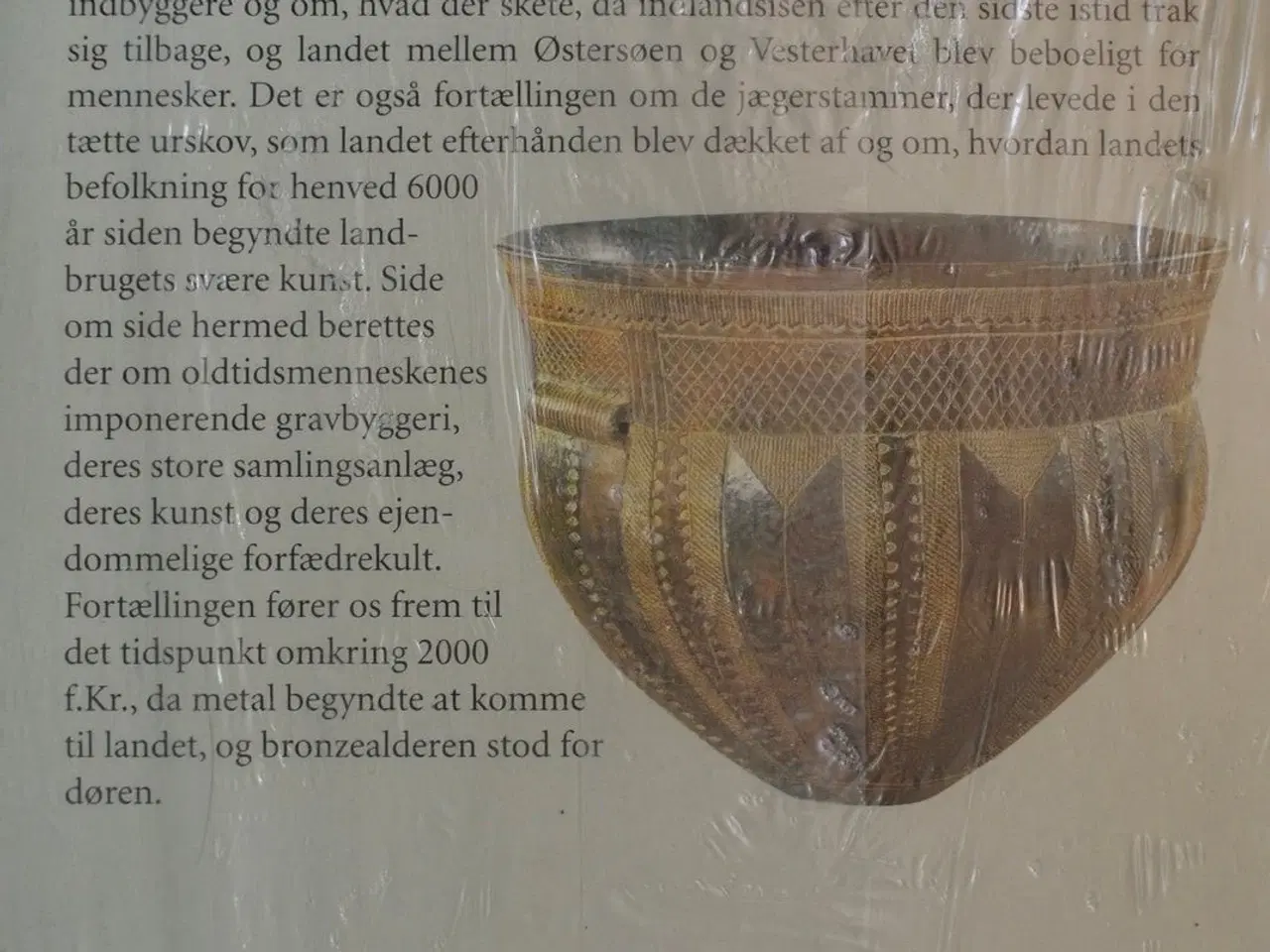 Billede 2 - danmarks oldtid stenalder 13000-2000 f.kr. ny i pl