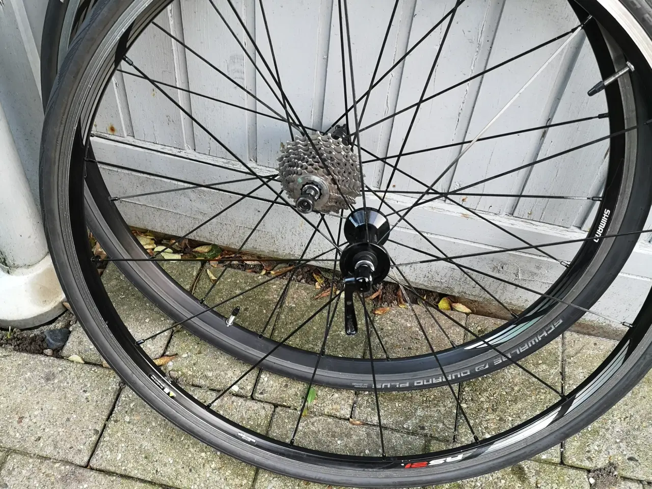 Billede 1 - 2 cykel fælge WH-RS21 SHIMANO 10 SPEED