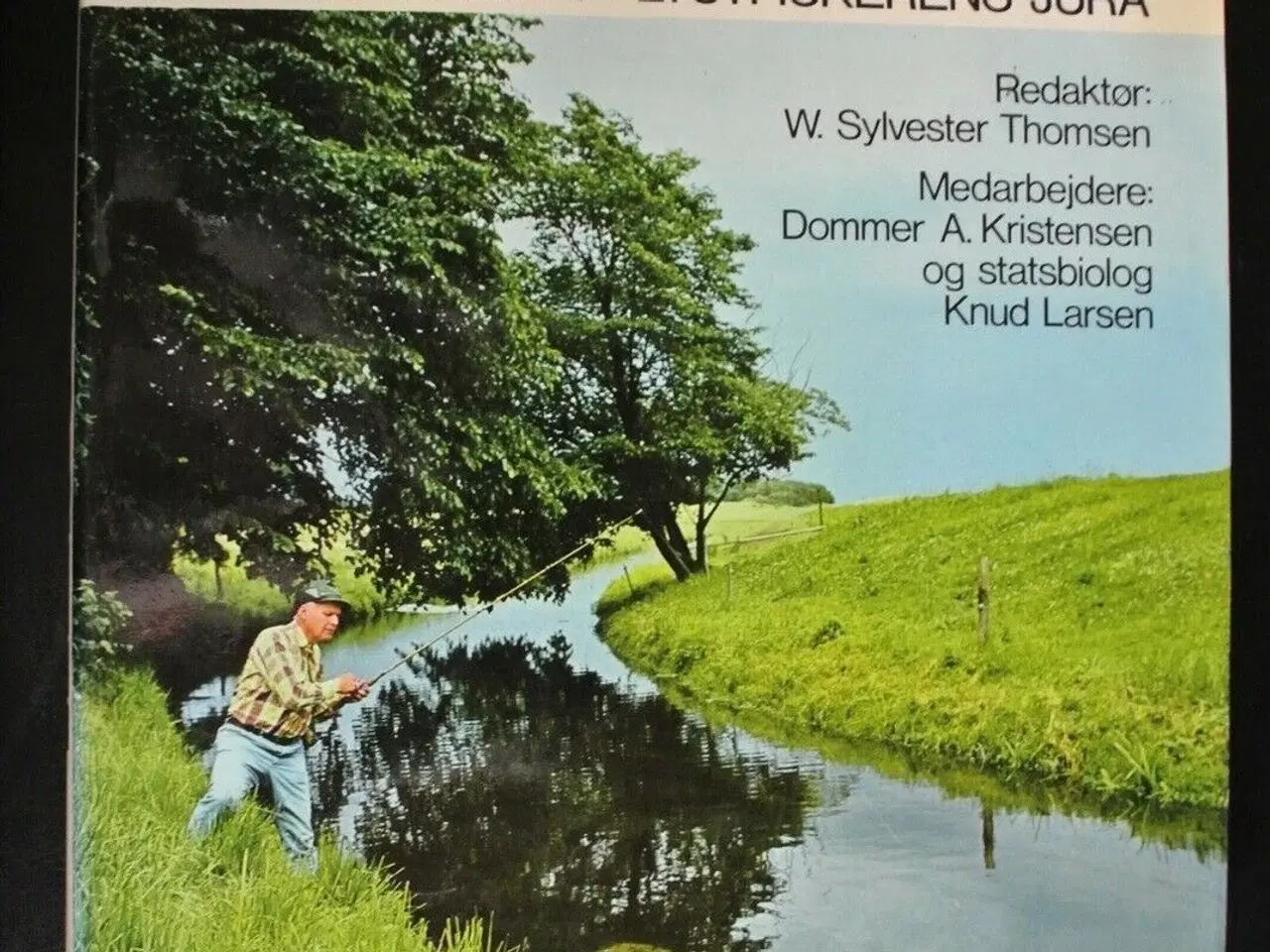 Billede 1 - fiskebogen. fisk. lystfiskeri, red. af w. sylveste