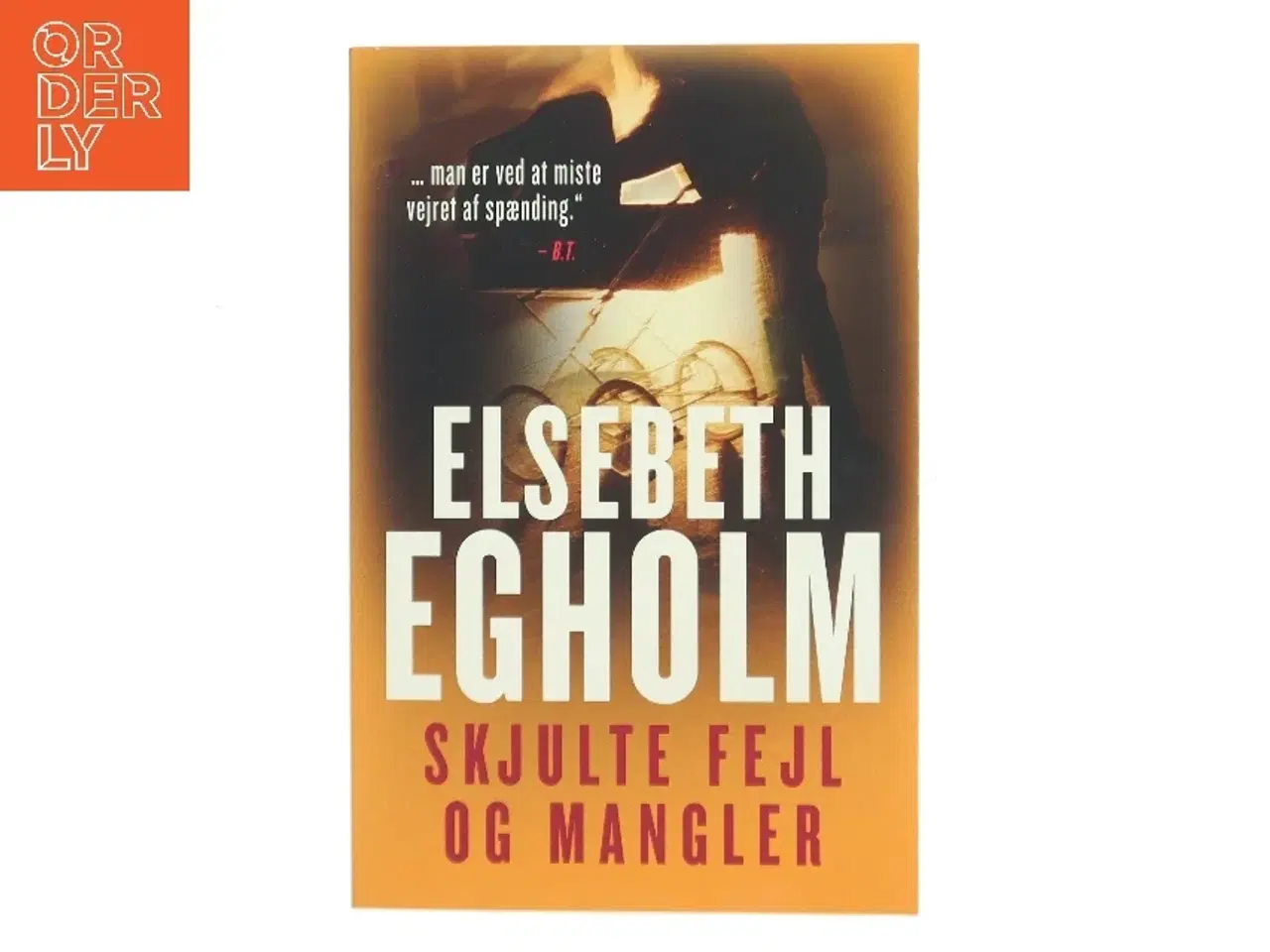 Billede 1 - Skjulte fejl og mangler : roman af Elsebeth Egholm (Bog)