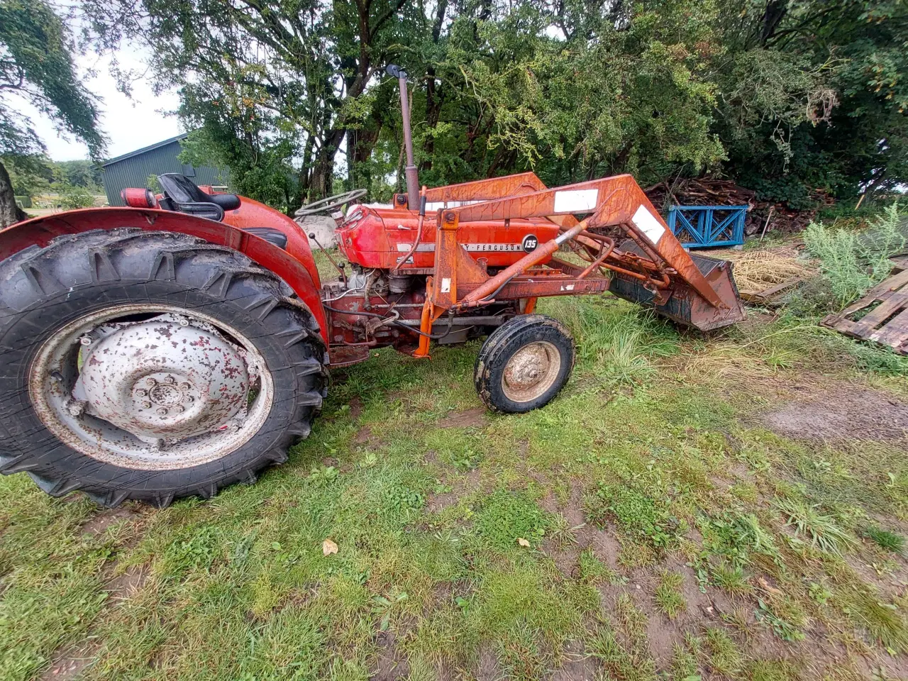 Billede 6 - MF 135 Diesel