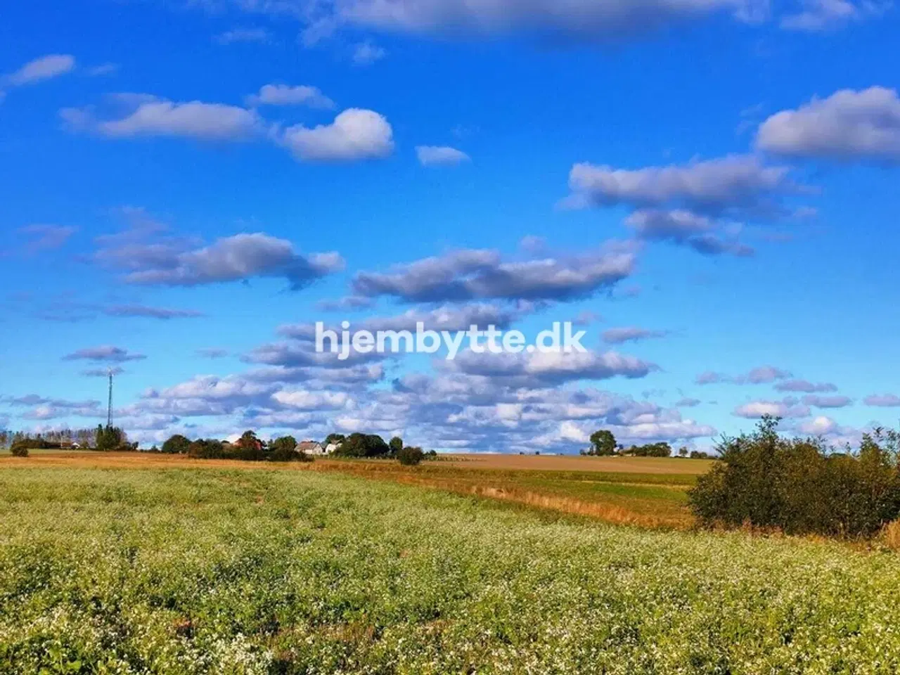 Billede 5 - Hjembytte - Torvegade