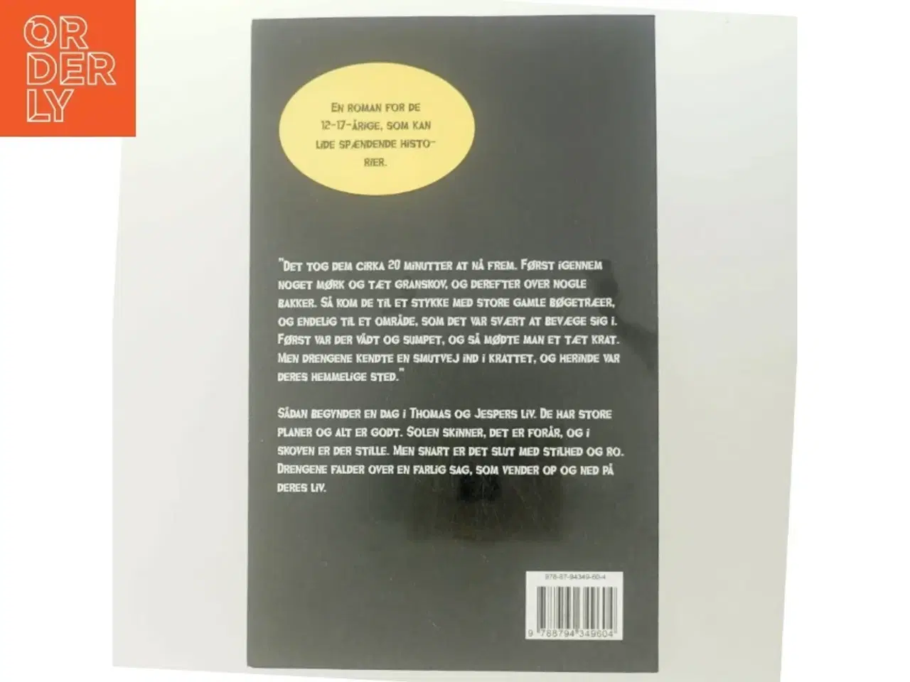 Billede 3 - Den glemte grotte af Klaus Wilmann (Bog)