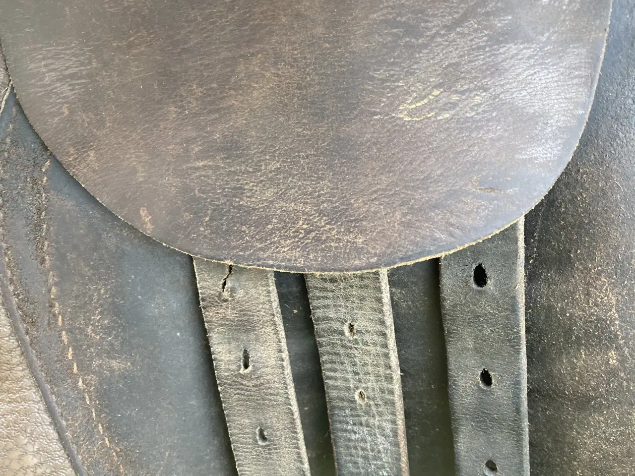 Billede 4 - Brun Kieffer er München kombisadel