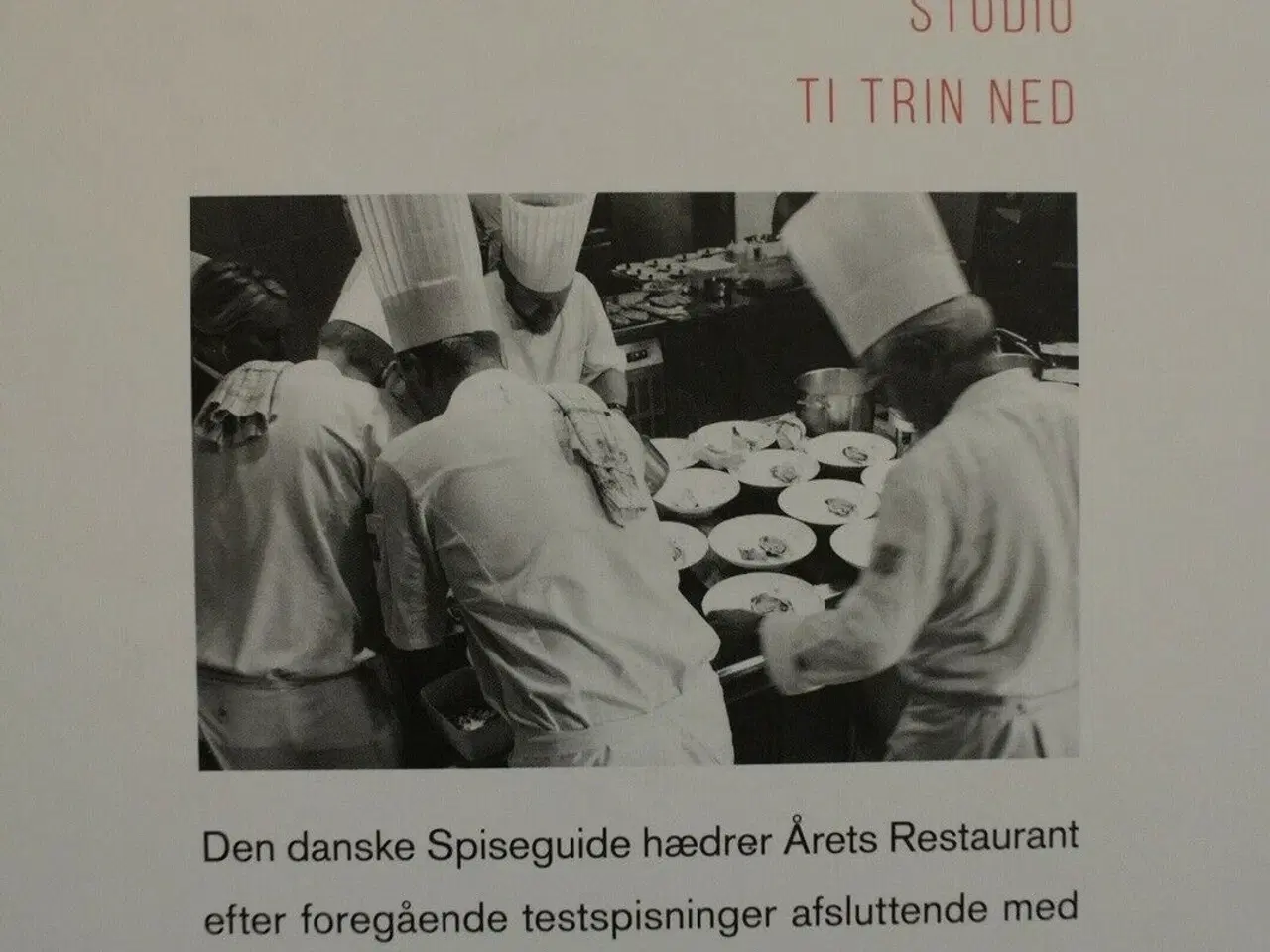 Billede 4 - gastronomiske stjerner. dedikation af patrick lief