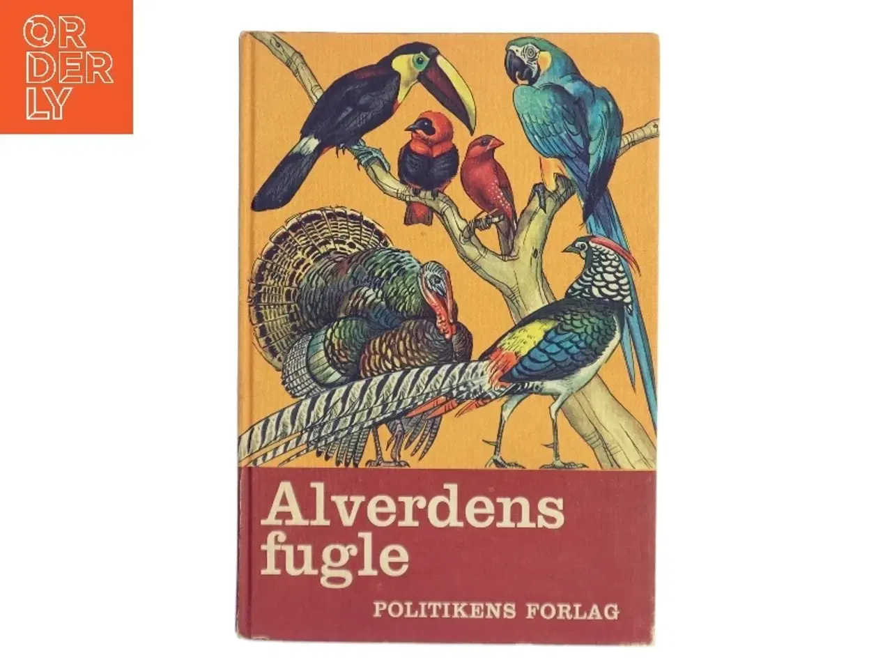 Billede 1 - Alverdens fugle (Bog)