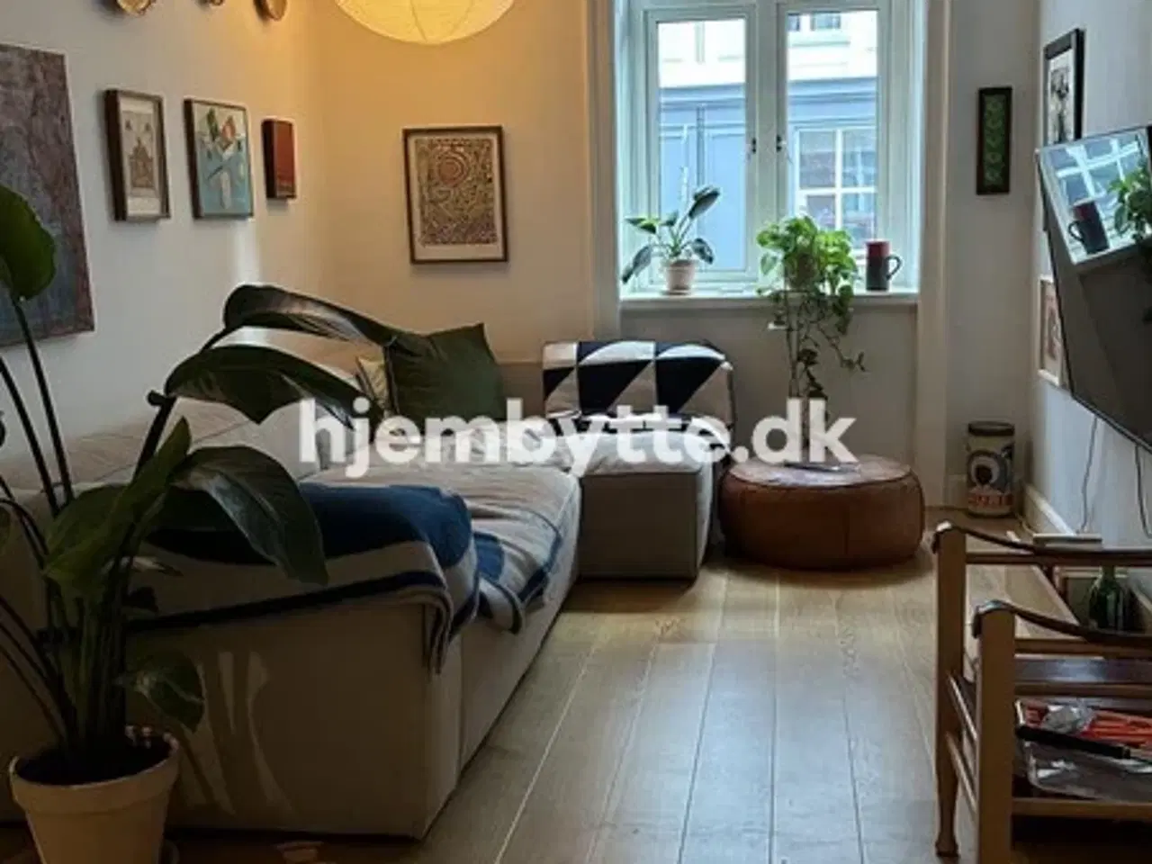 Billede 4 - Hjembytte - Colbjørnsensgade