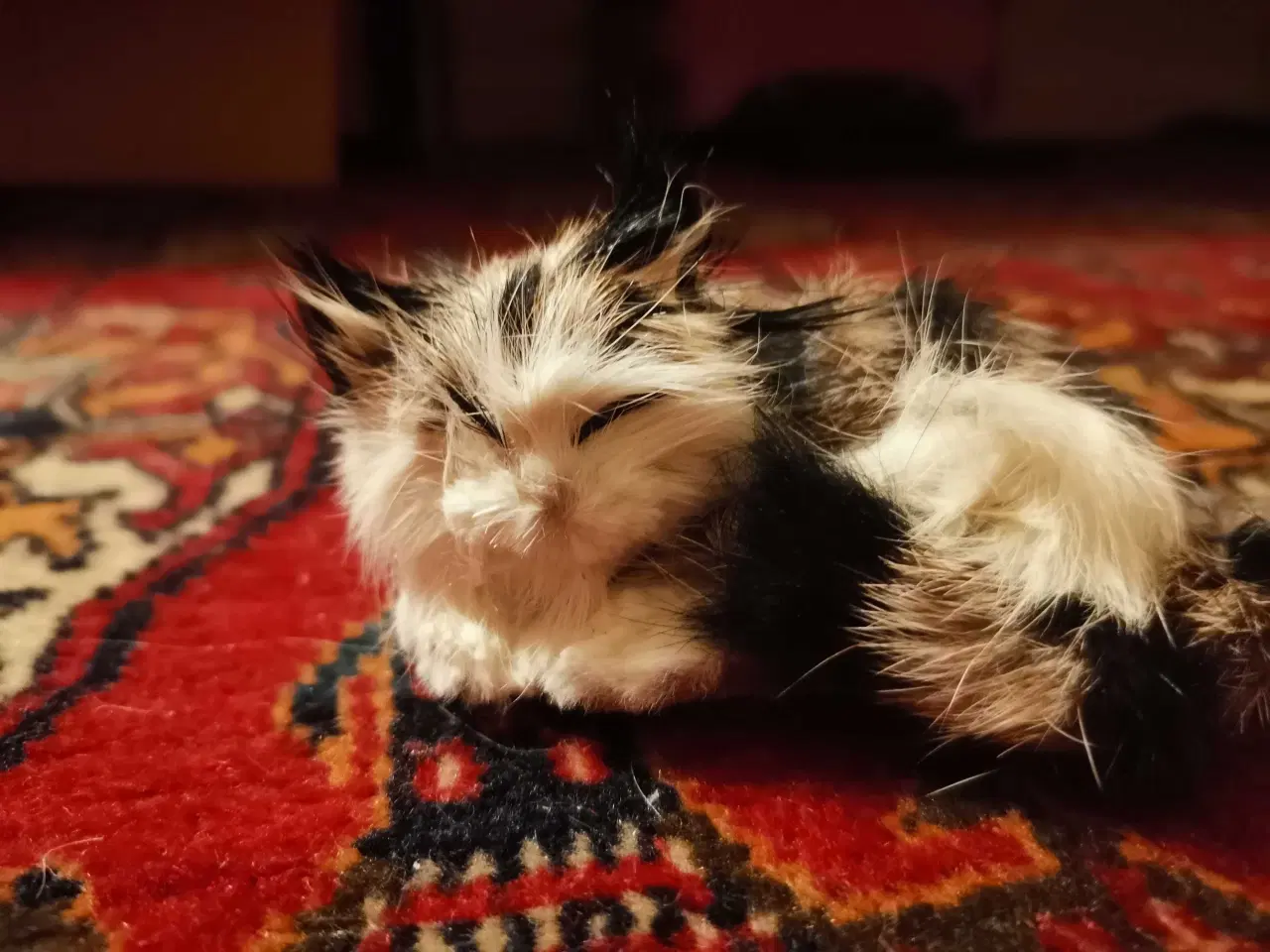 Billede 20 - Baby tøj 10 kr pr stk