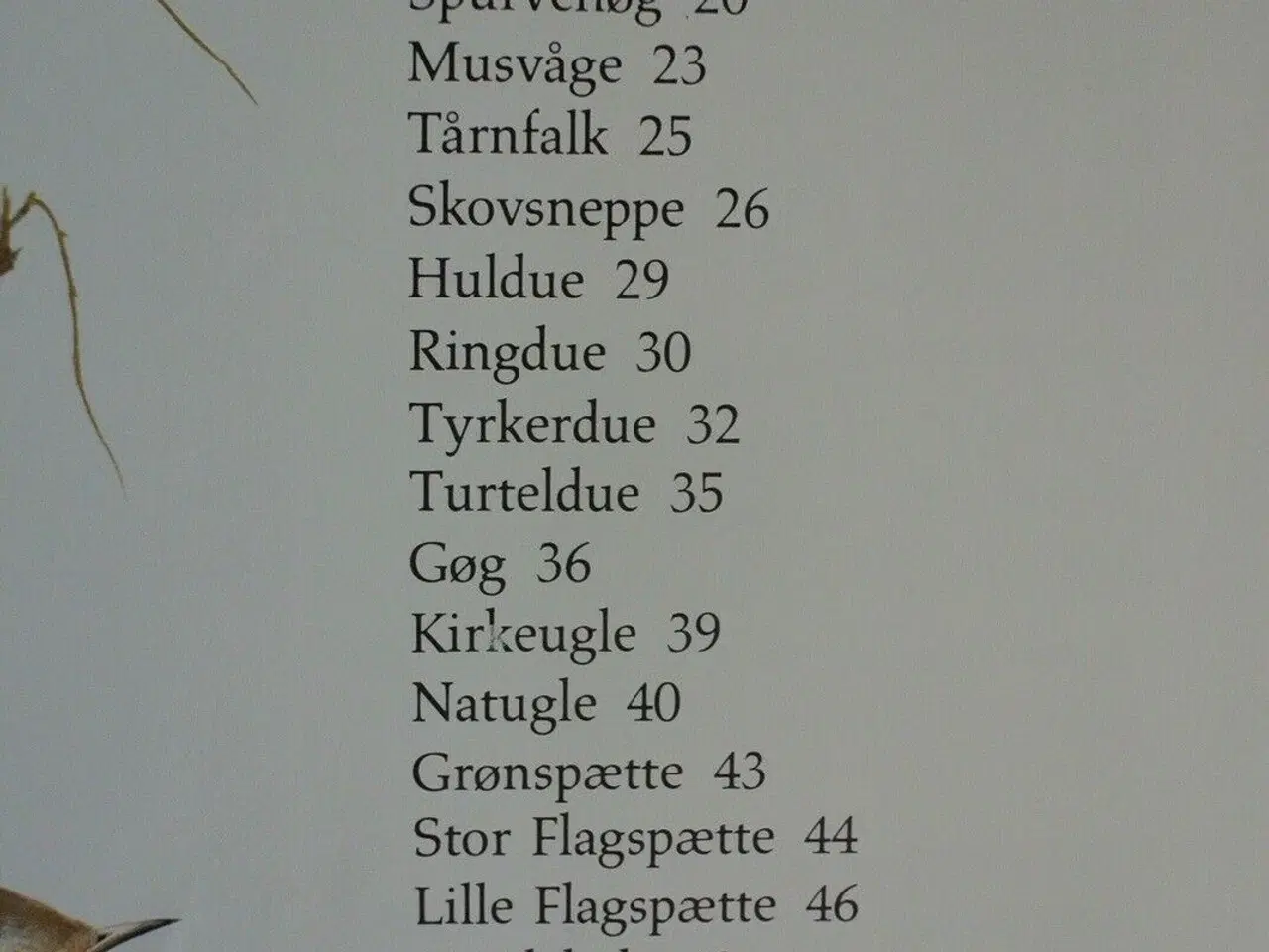 Billede 2 - fugle i have og skov, af alan mitchell. ill. af te