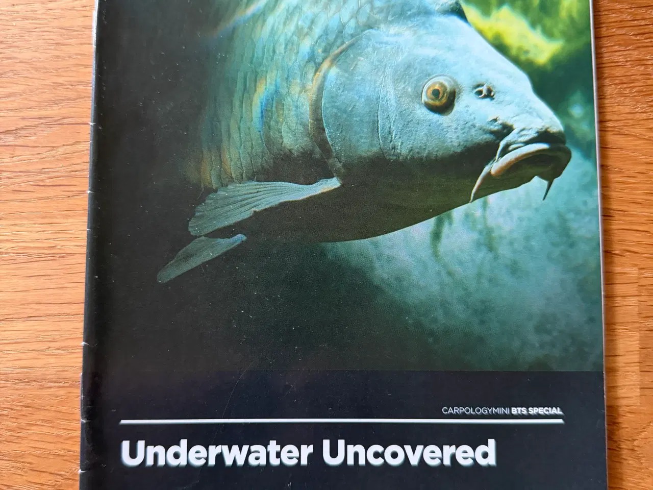 Billede 13 - Karpe bøger 📕📚