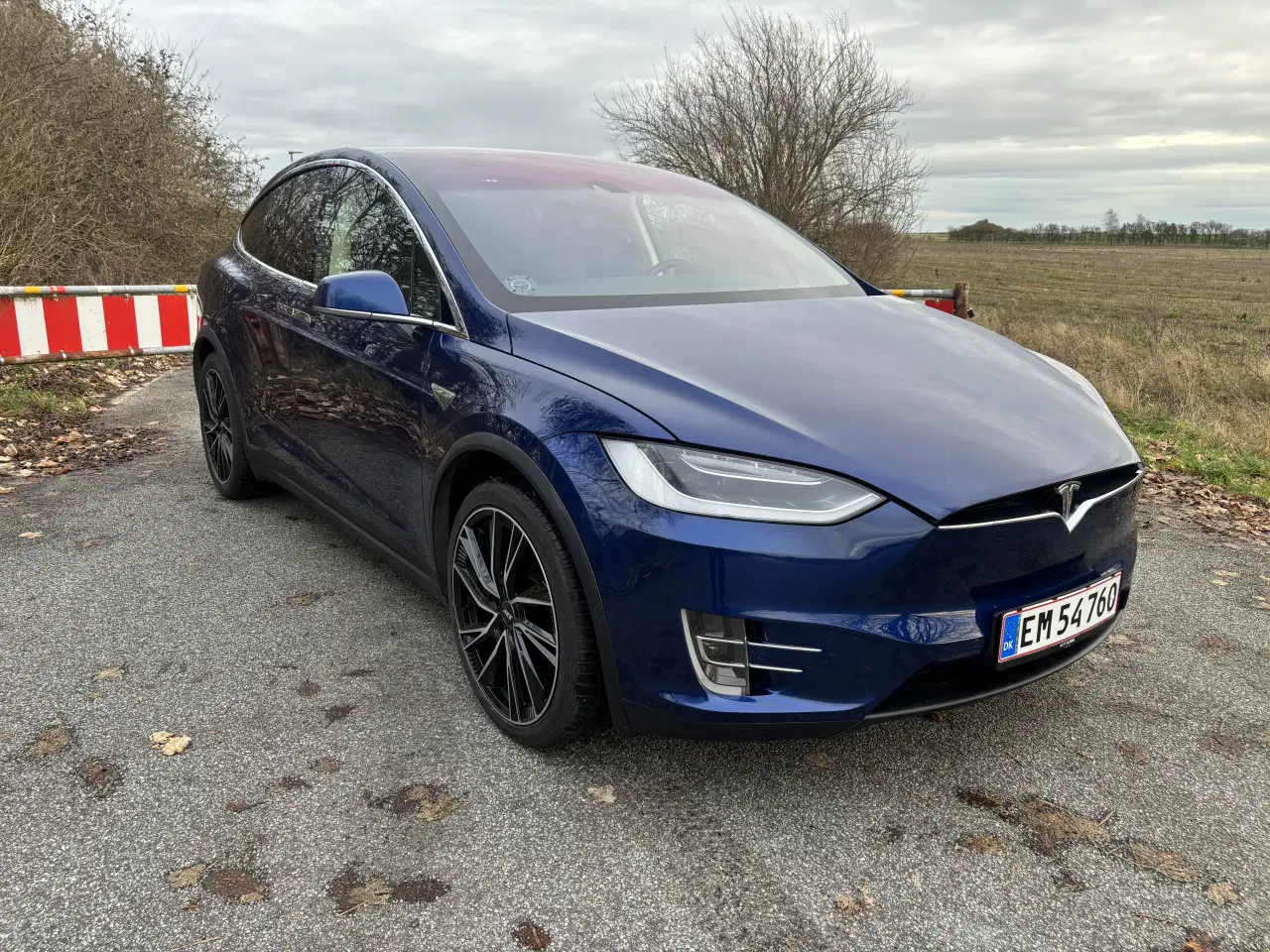 Billede 2 - Tesla Model X 90D 6 Pers. 