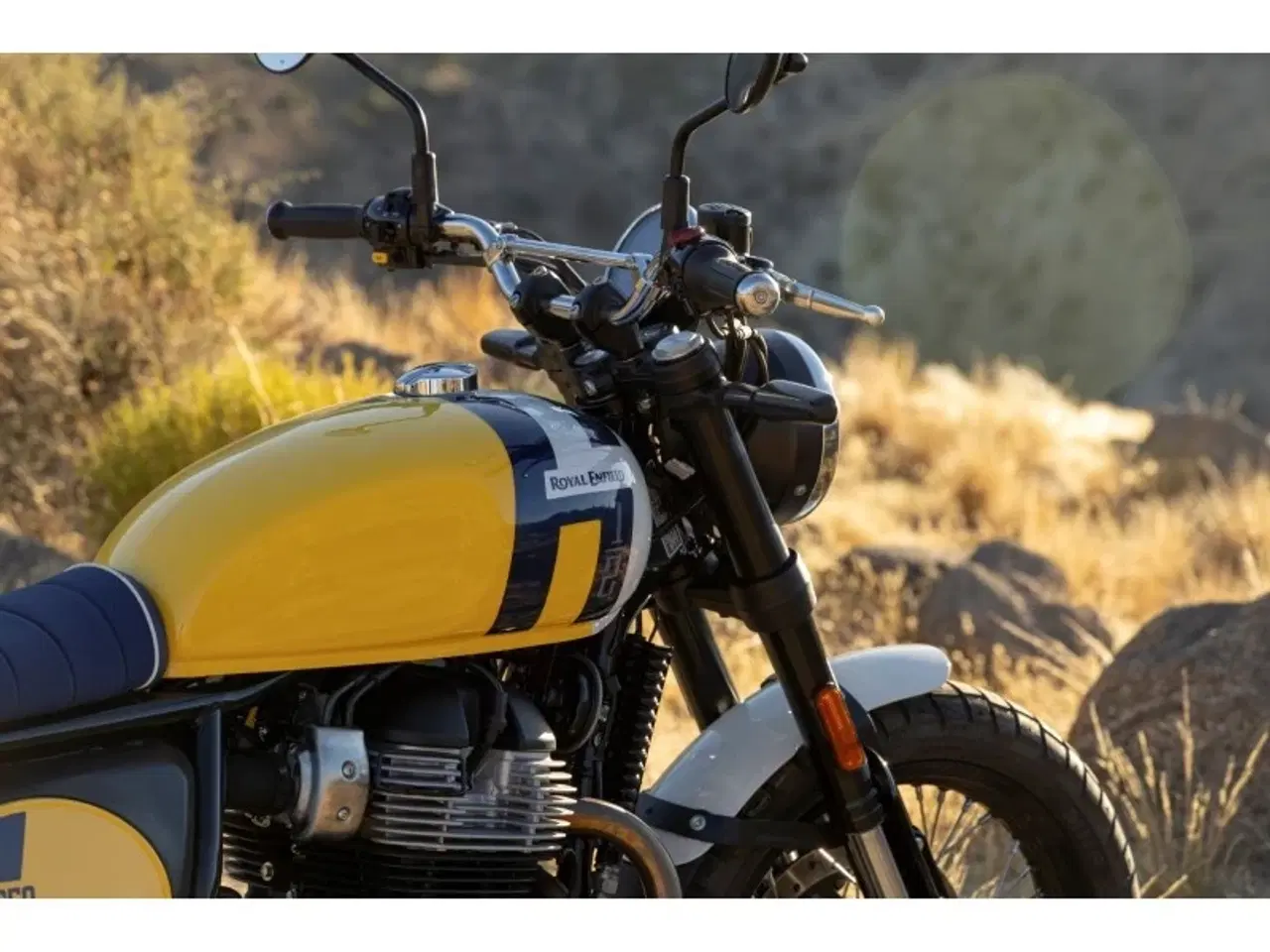 Billede 14 - Royal Enfield Bear 650 Petrol Green