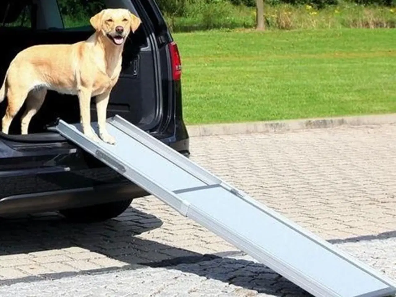 Billede 1 - Solid og stærk aluminium teleskoprampe til hunde