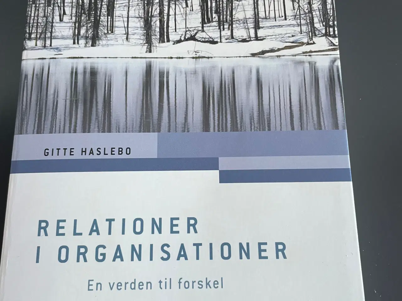 Billede 1 - Relationer i organisationer