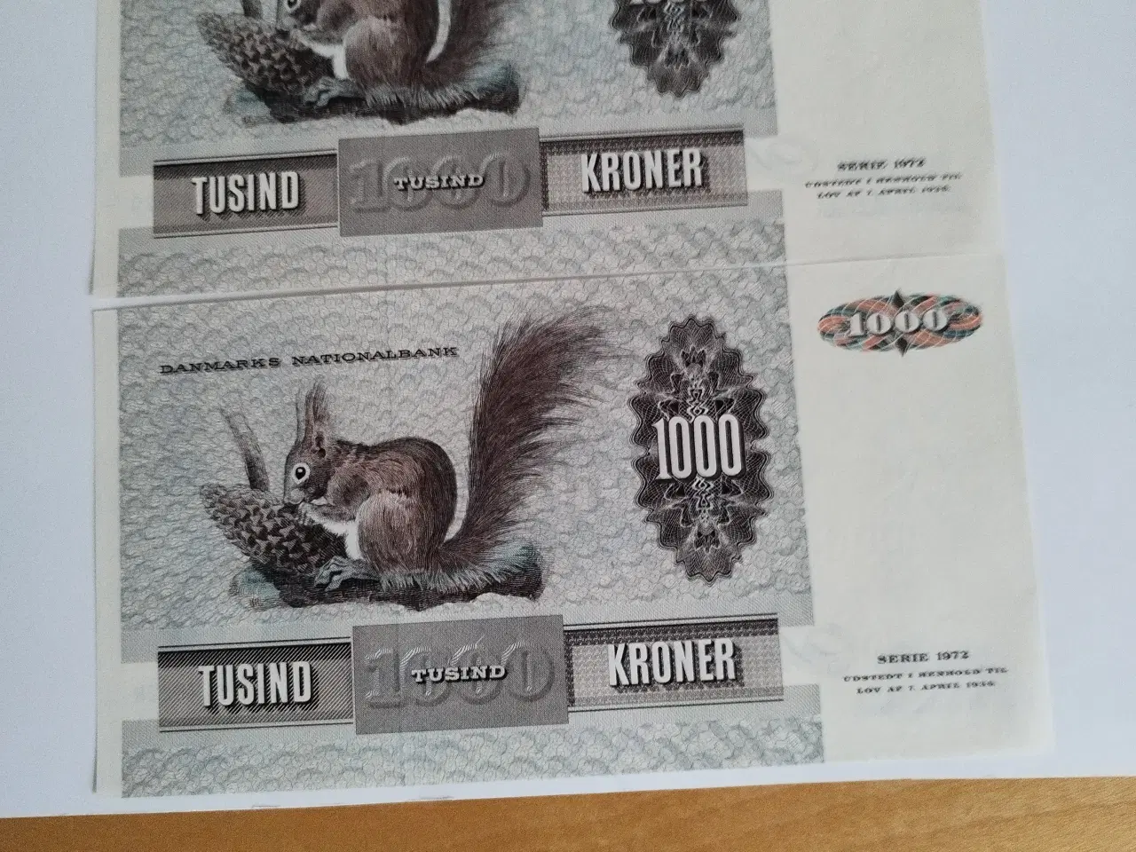 Billede 1 - 1000 Kroner Egern 🐿️
