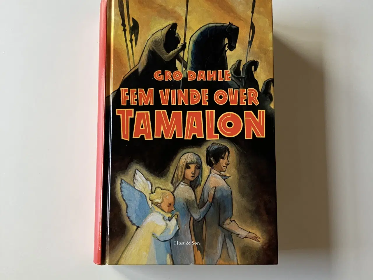 Billede 1 - Fem vinde over Tamalon. Af Gro Dahle