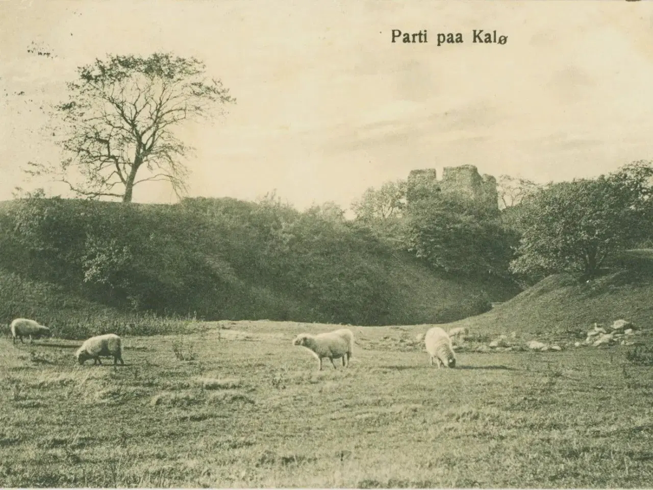 Billede 1 - Kalø, 1910