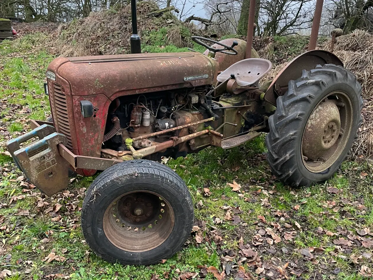 Billede 1 - “Dumle” skal videre - Ferguson 35