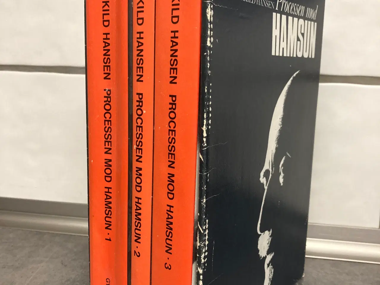 Billede 1 - Processen mod Hamsum