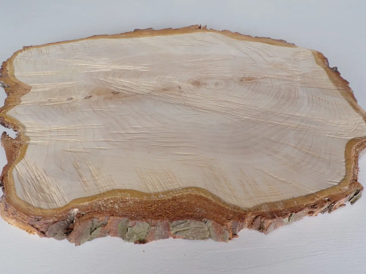 Billede 2 - NY Thuja Træskive med bark 41 cm lang