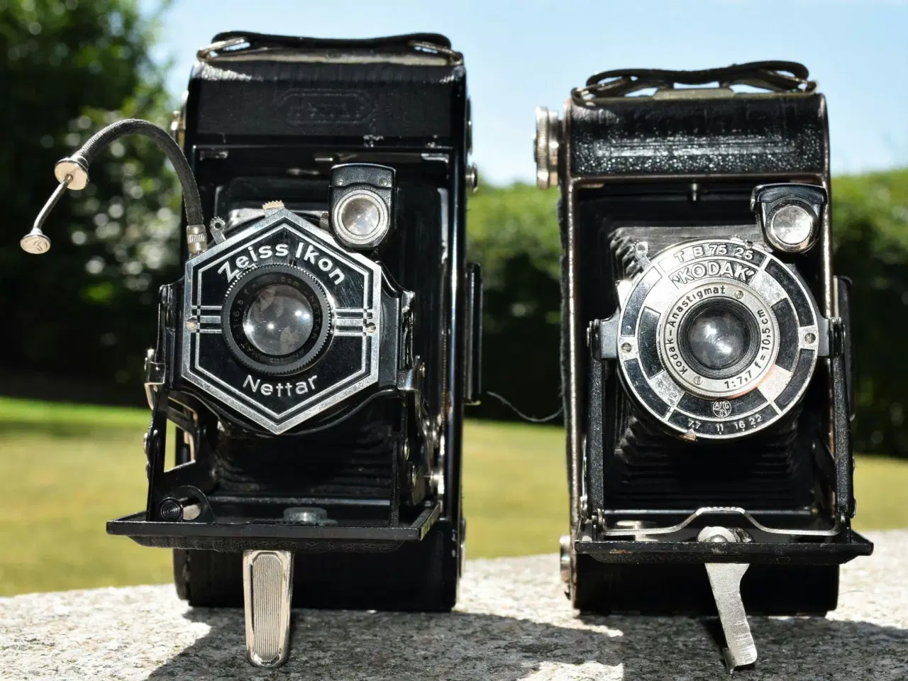 Billede 5 - Zeiss Ikon og Kodak bælgkameraer