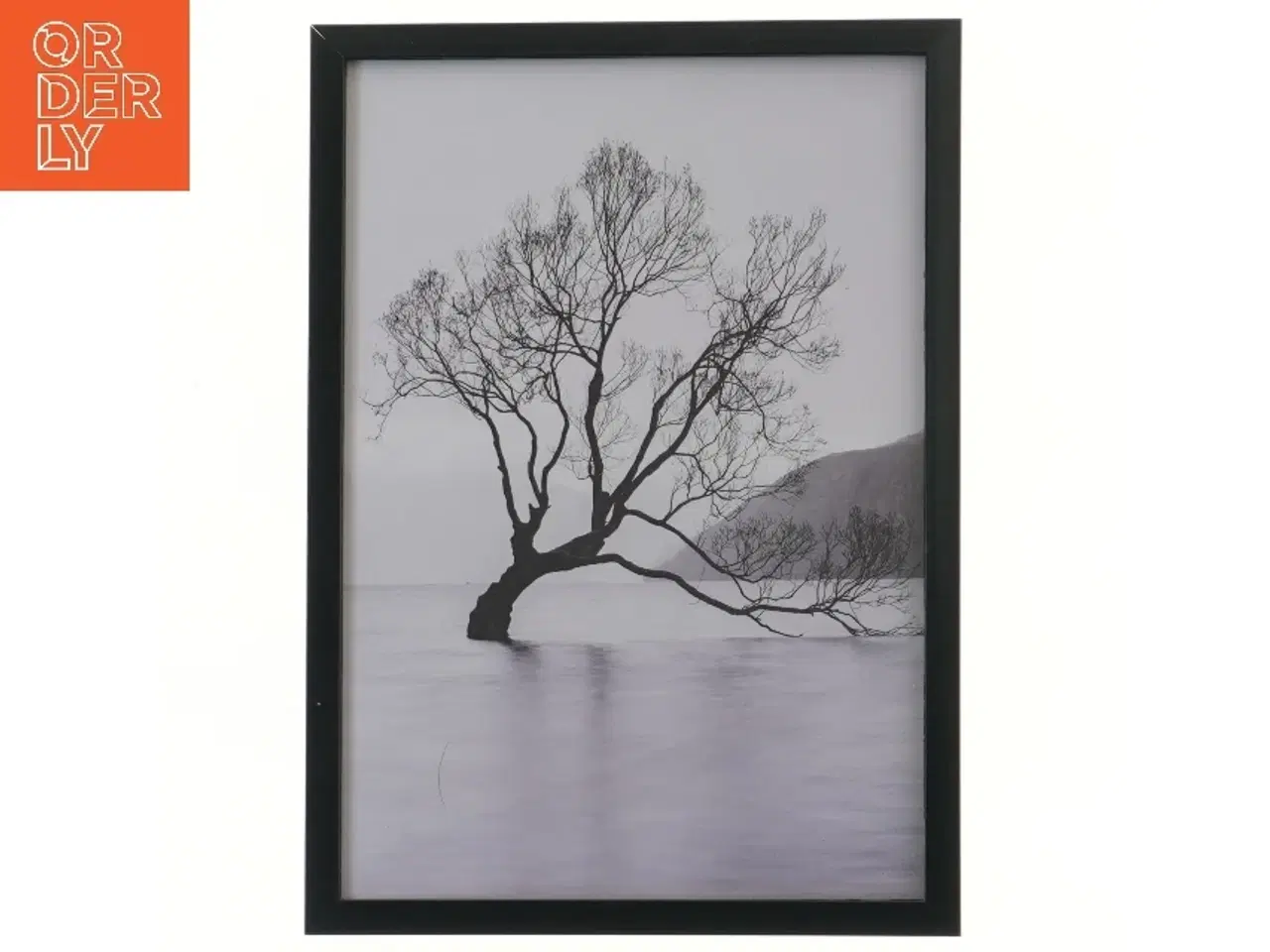 Billede 1 - Billede med sort ramme (str. 32x23 cm)