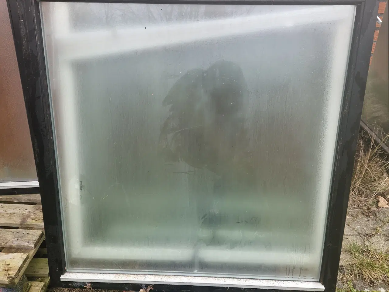 Billede 3 - 9 vinduer i et samlet bud