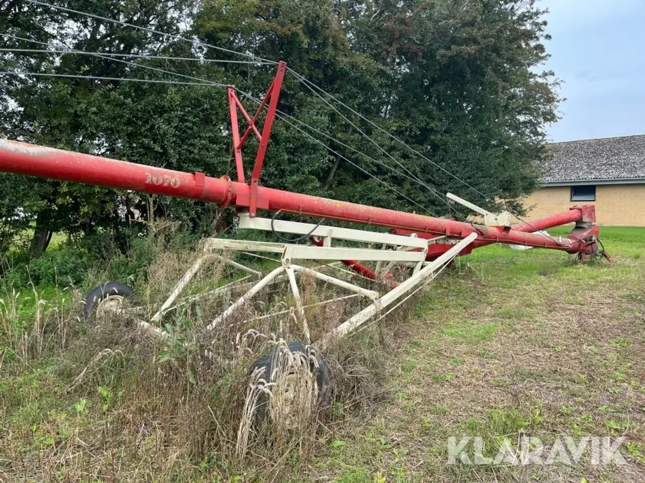 Billede 2 - Amerikaner snegl Buhler Farming