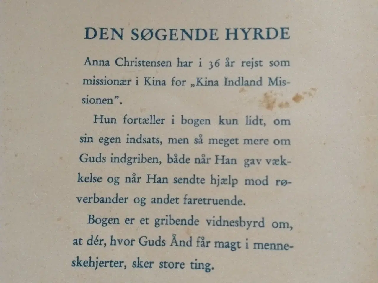 Billede 2 - Den søgende Hyrde