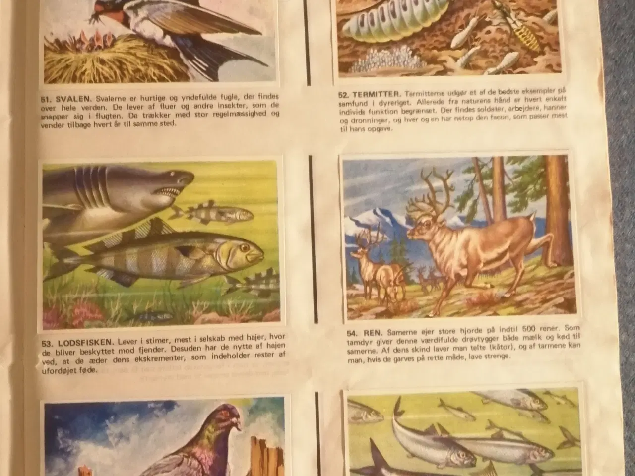 Billede 3 - Naturens Vidundere Samlealbum