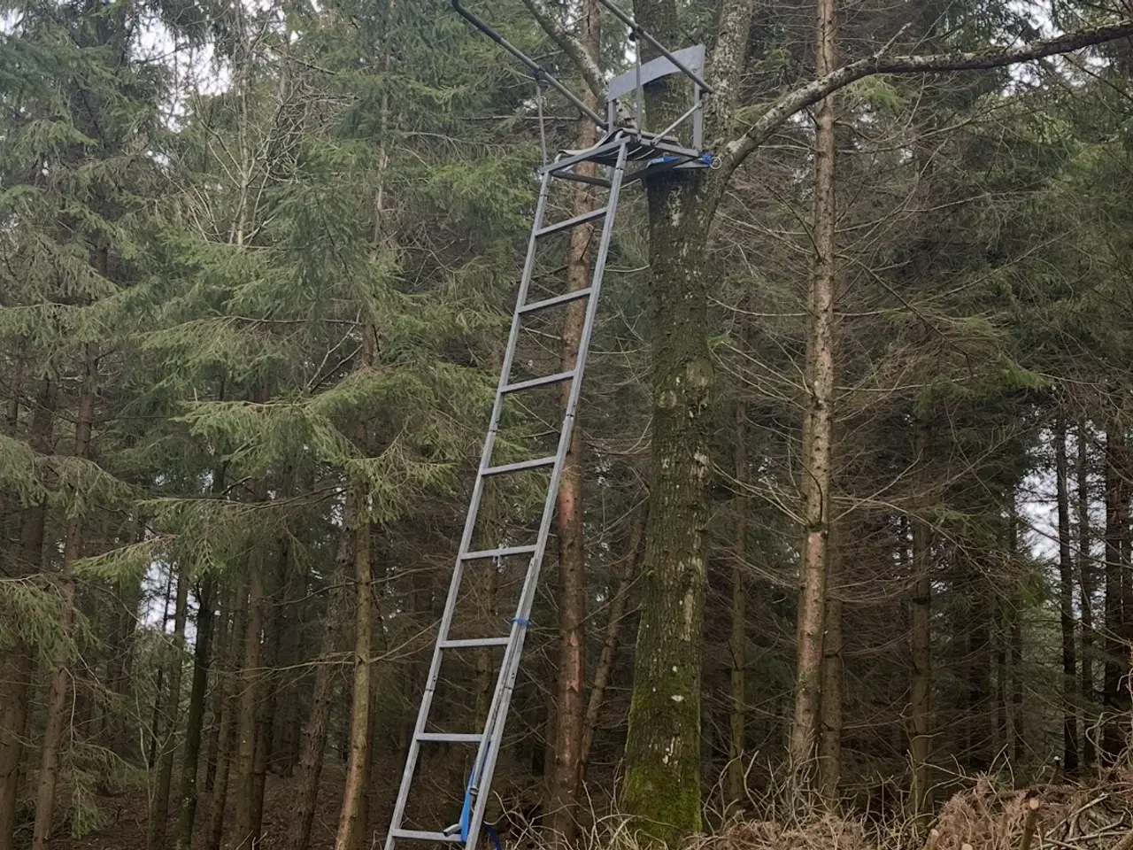 Billede 1 - Robust jagtstige