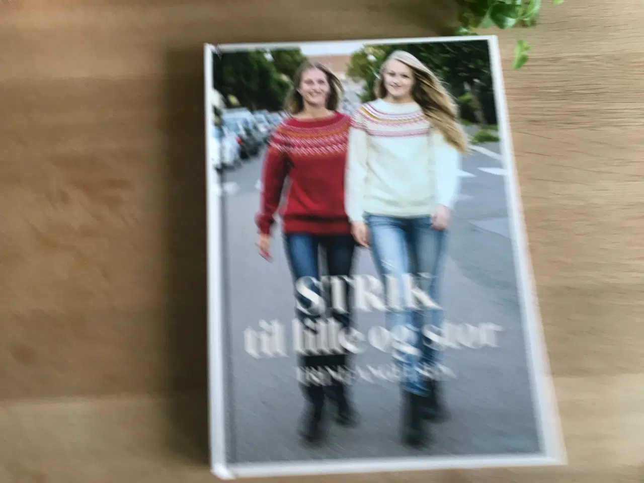 Billede 1 - STRIK til lille og stor  af Trine Angelsen