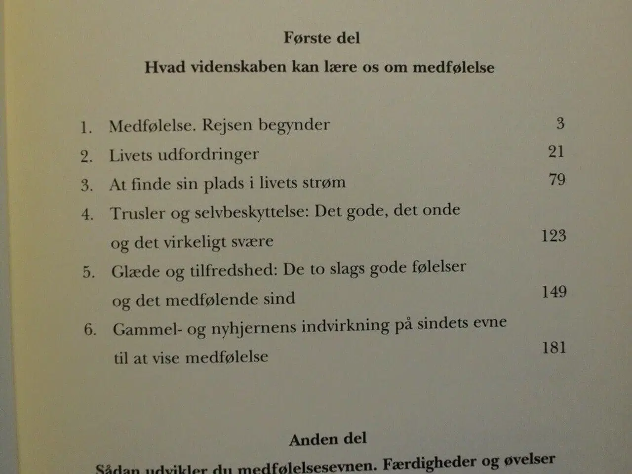 Billede 2 - medfølelse og mindfulness - fra selvkritik til sel