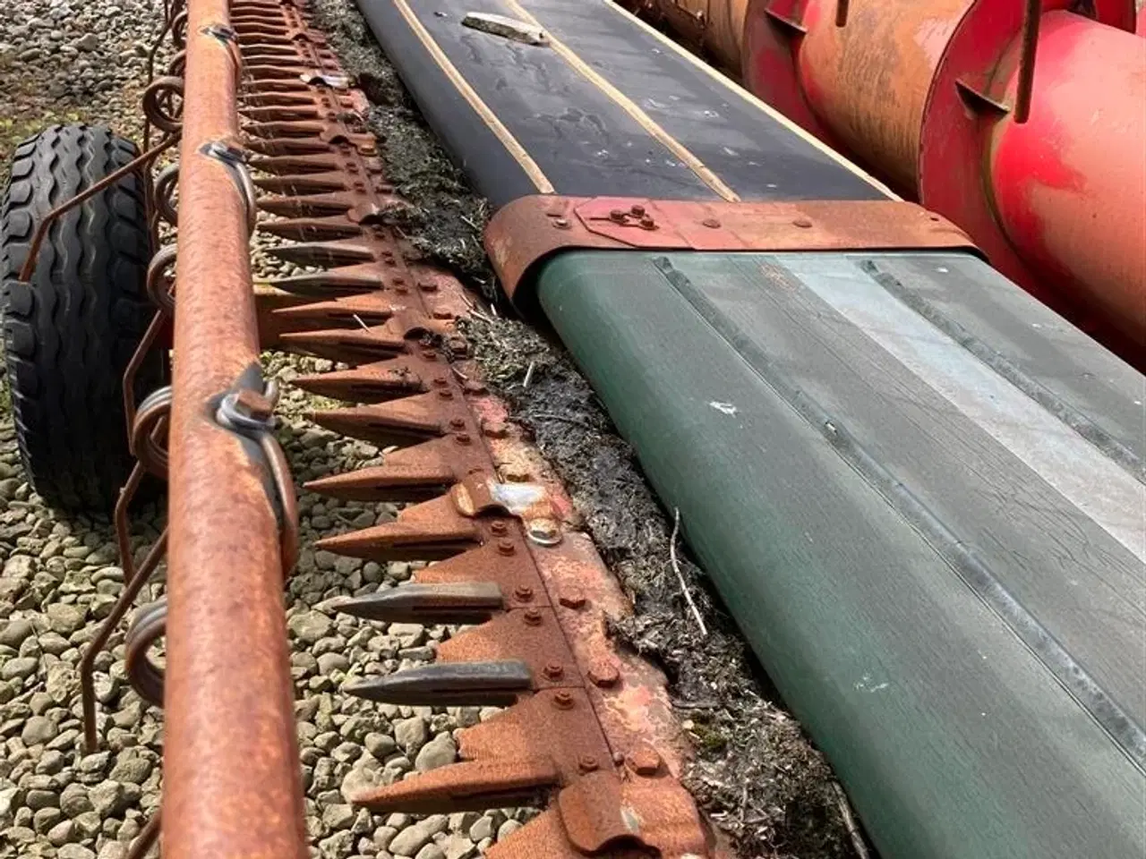 Billede 6 - Massey Ferguson PowerFlow 6,20m (20') Skærebord