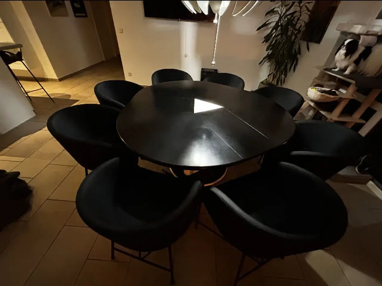 Billede 5 - Design bord og 8 stoler