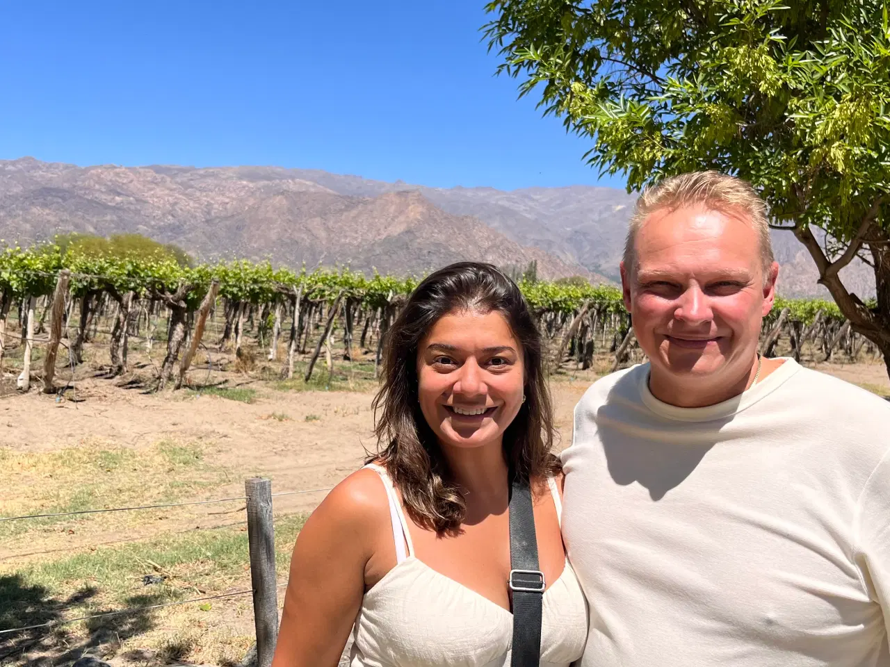 Billede 1 - Looking for a new family member