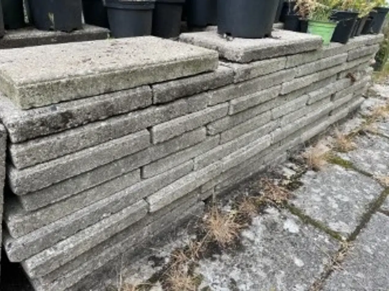 Billede 1 - Betonfliser, 50 x 30 cm, ~110 stk gratis