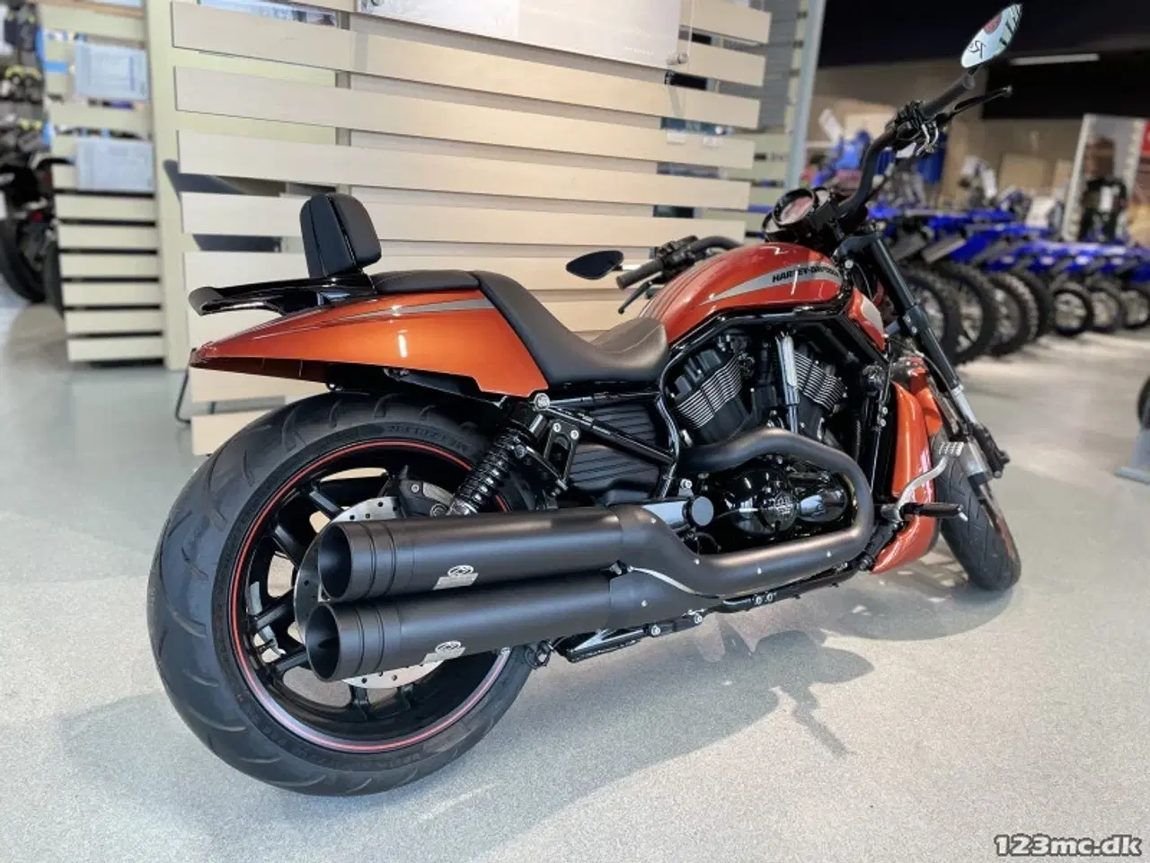 Billede 4 - Harley-Davidson VRSCDX Night Rod Special