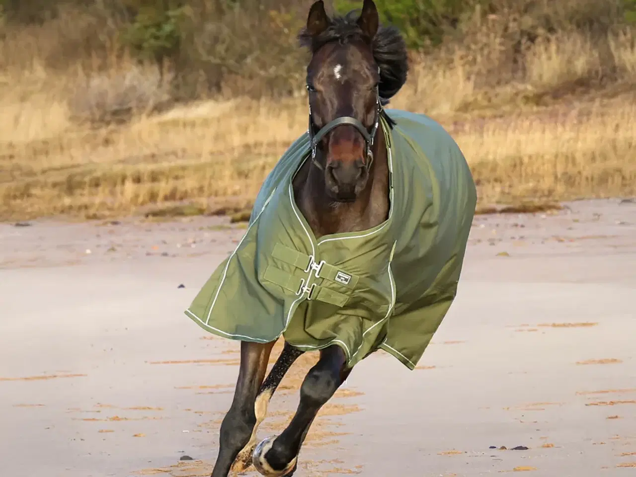 Billede 1 - Rbh 135 350g klar til brug