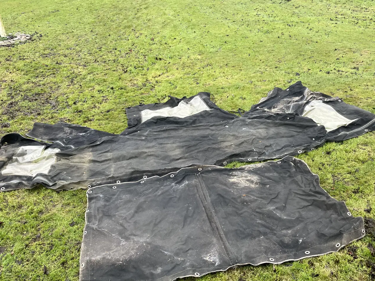 Billede 21 - Albin 25