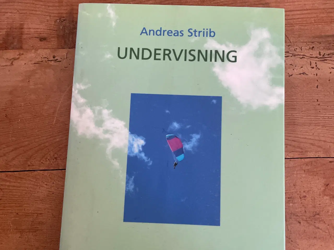 Billede 1 - Undervisning af Andreas Striib