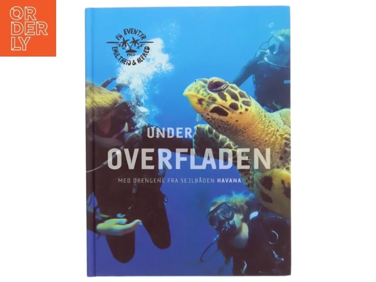 Billede 1 - Under overfladen af Alfred Midé Erichsen (Bog)