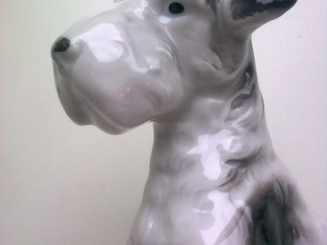 Billede 4 - Hundeskål i eller vagthund ved siden & hund TEMA