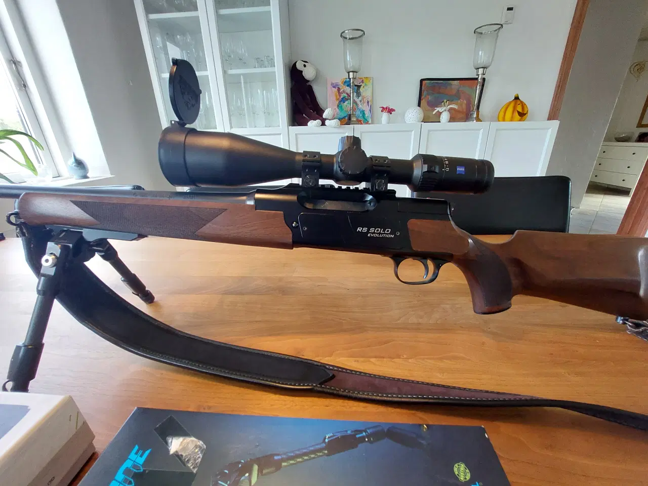 Billede 1 - Strasser Rs Solo Evolution 30.06