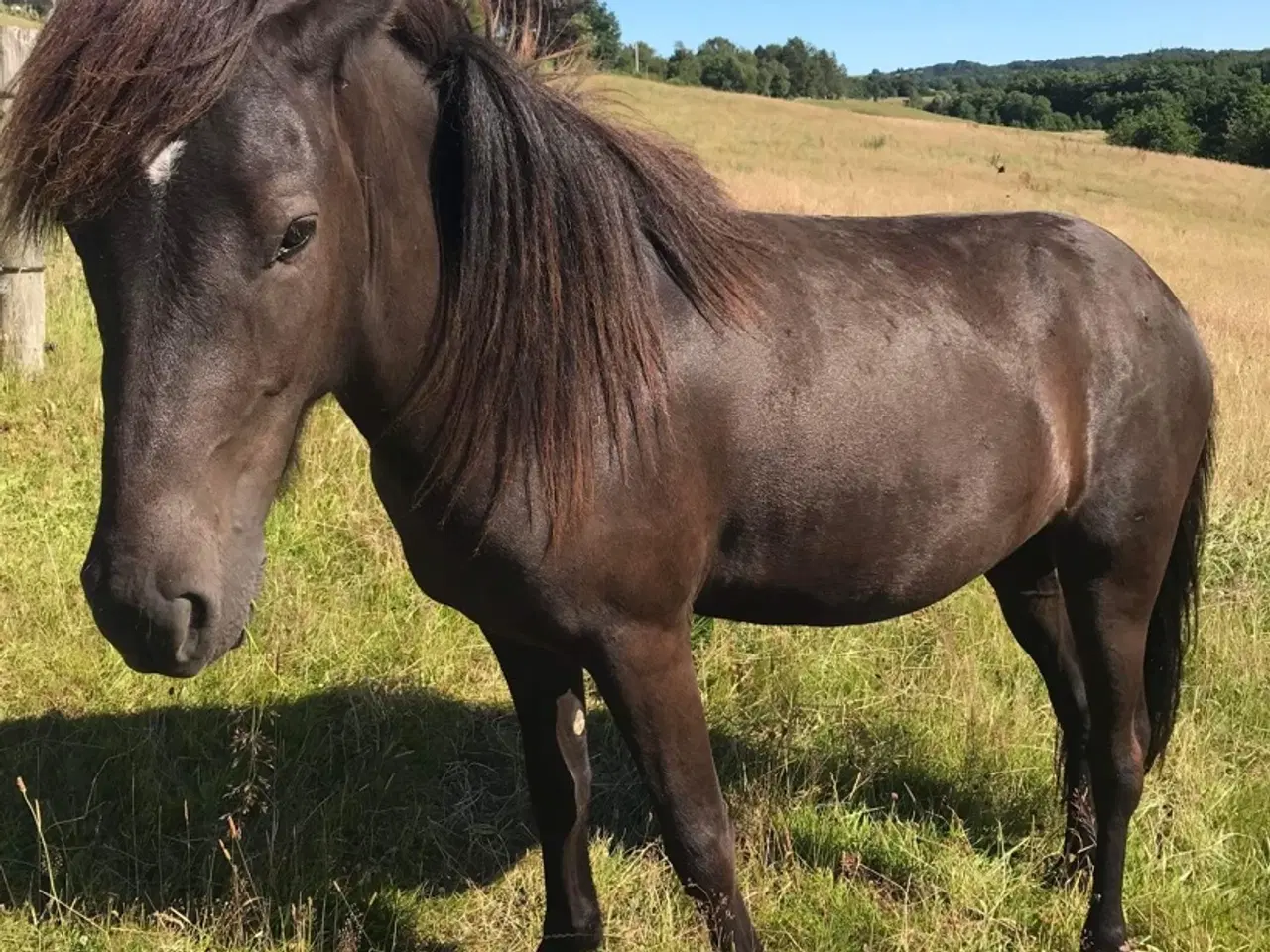 Billede 9 - Verdens bedste Bullerbasse