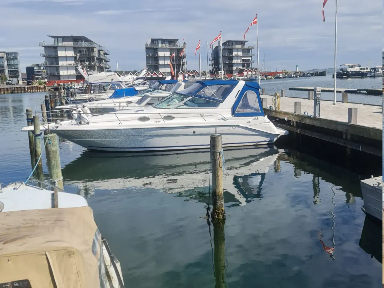 Billede 10 -  Searay 290 Sundancer (diesel) Searay 290 Sundance