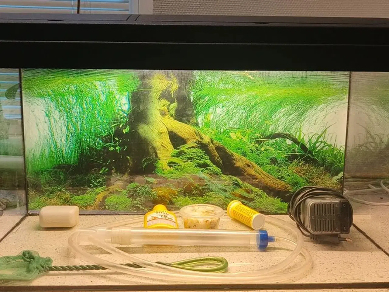 Billede 1 - 54 liters akvarie sælges