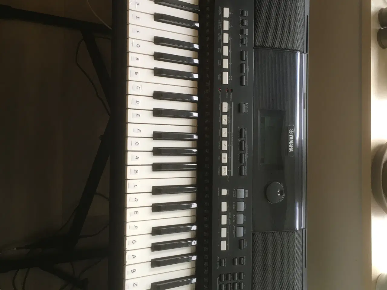 Billede 3 - Keyboard med stativ