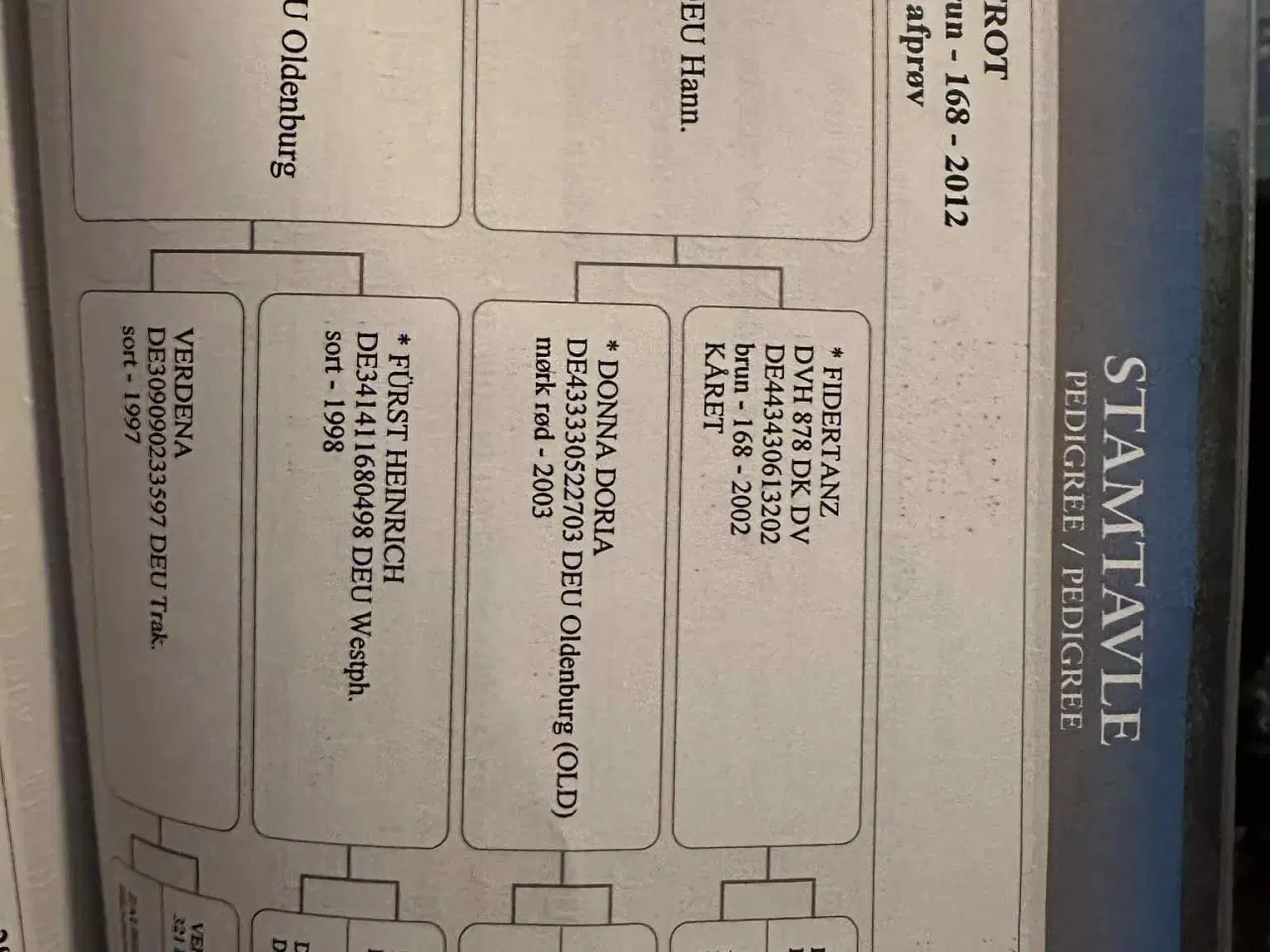 Billede 6 - Musse søger ny familie